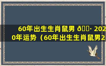 60年出生生肖鼠男 🌷 2020年运势（60年出生生肖鼠男2020年运势怎么样 🦁 ）